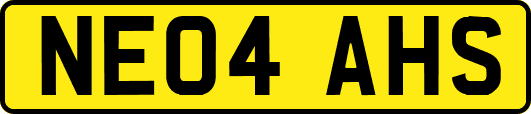 NE04AHS