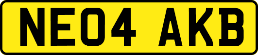 NE04AKB