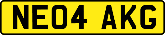 NE04AKG