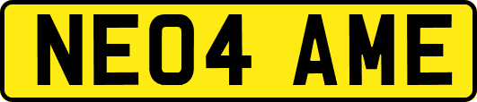 NE04AME