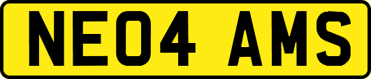 NE04AMS