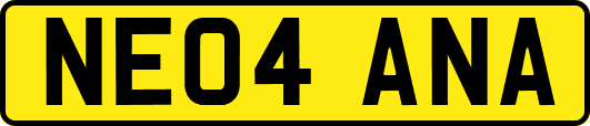 NE04ANA