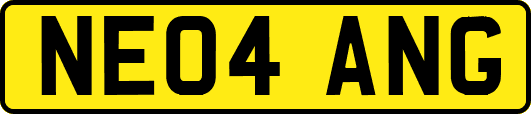 NE04ANG