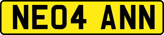 NE04ANN