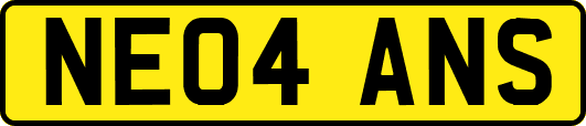 NE04ANS