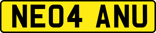 NE04ANU