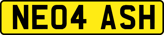 NE04ASH
