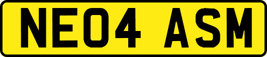 NE04ASM