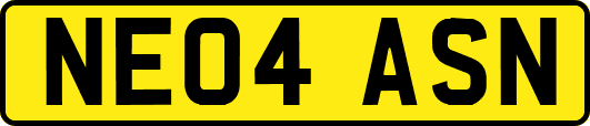 NE04ASN