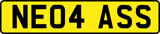 NE04ASS