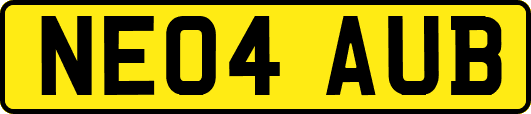 NE04AUB