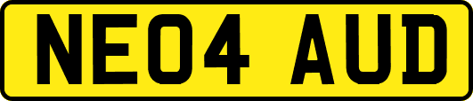 NE04AUD