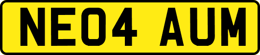 NE04AUM
