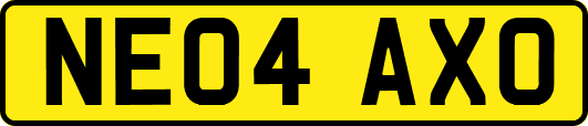 NE04AXO