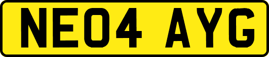 NE04AYG