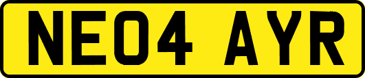 NE04AYR
