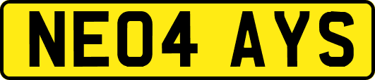 NE04AYS