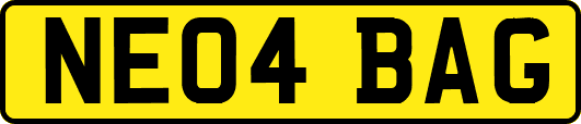 NE04BAG