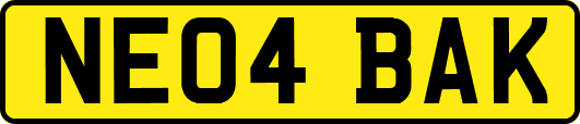 NE04BAK