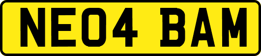 NE04BAM