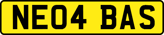 NE04BAS