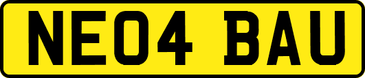 NE04BAU