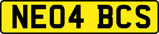 NE04BCS
