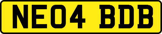 NE04BDB