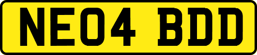 NE04BDD