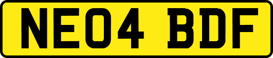 NE04BDF