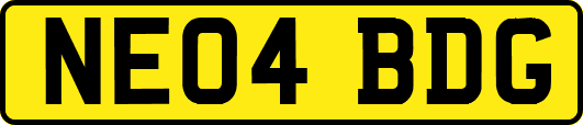 NE04BDG