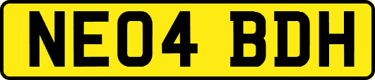 NE04BDH