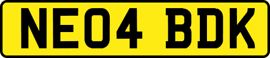 NE04BDK