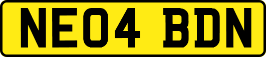 NE04BDN