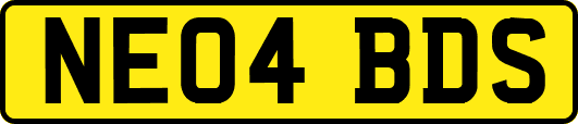 NE04BDS