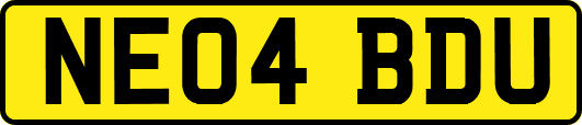 NE04BDU