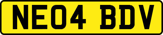 NE04BDV