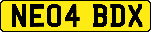 NE04BDX