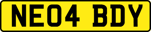 NE04BDY