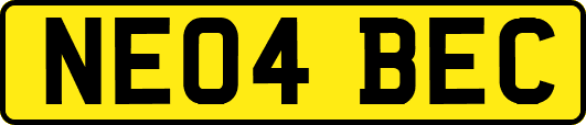 NE04BEC
