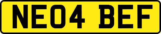 NE04BEF