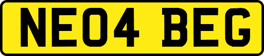 NE04BEG