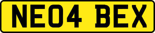 NE04BEX