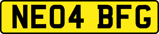 NE04BFG