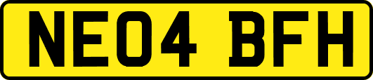 NE04BFH