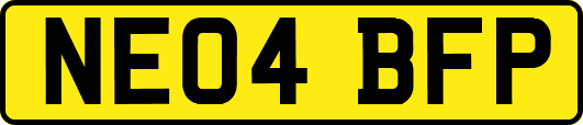NE04BFP