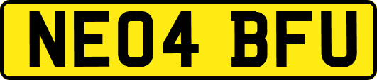 NE04BFU