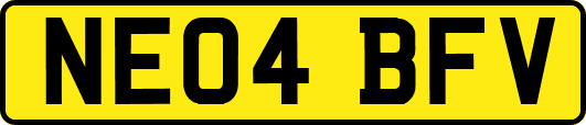 NE04BFV