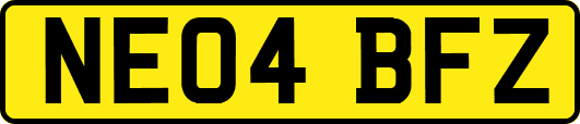 NE04BFZ