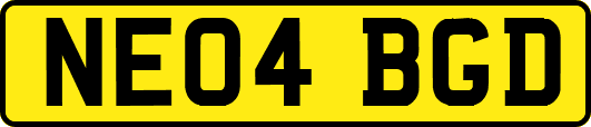 NE04BGD
